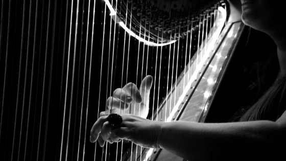 Harpist playing at wedding reception